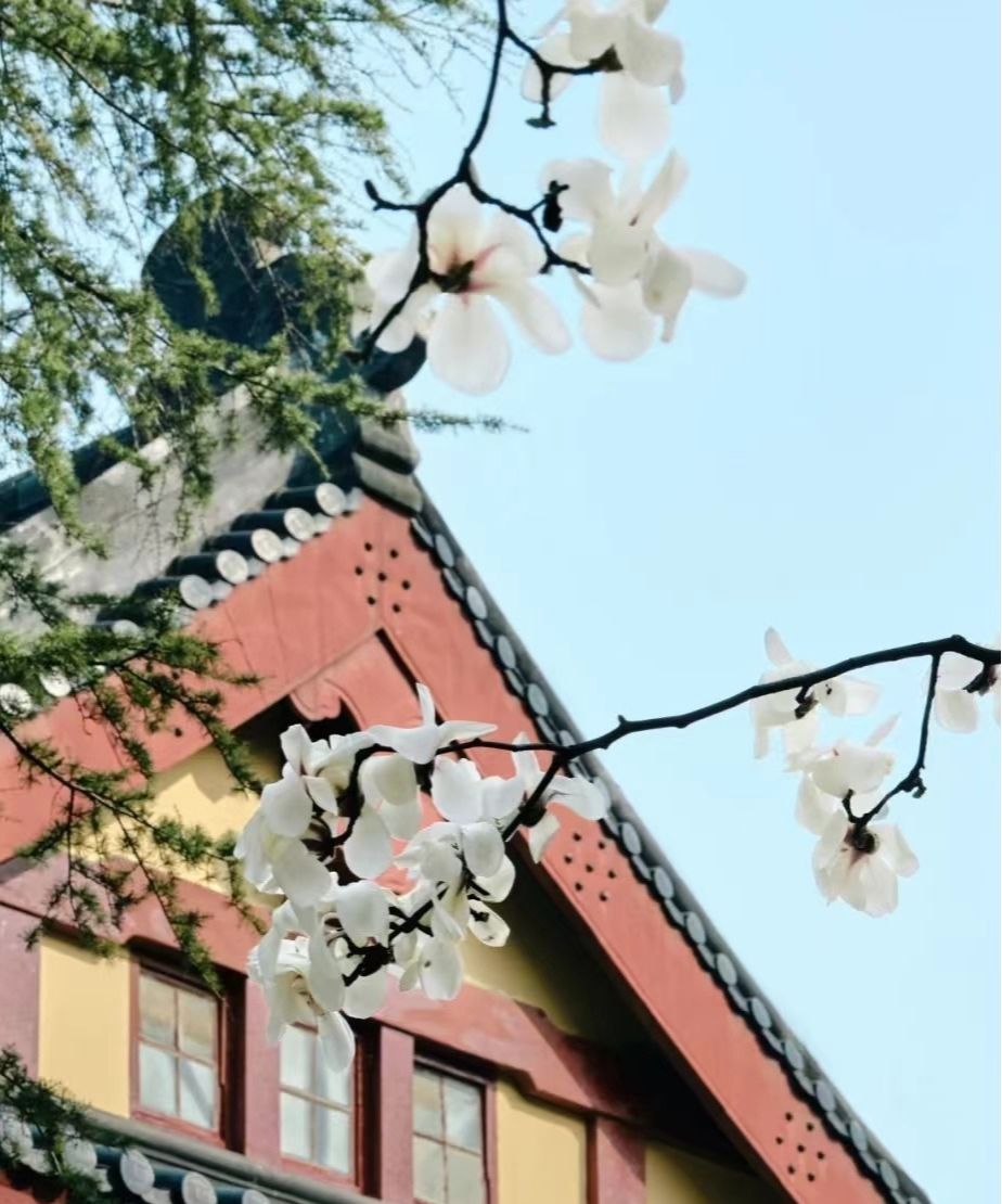 图源:网友@球球凡的影像实验室 图源:网友@球球凡的影像实验室